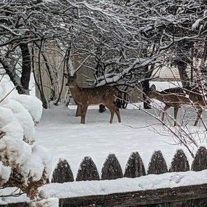 Meet your Posher, Marlo